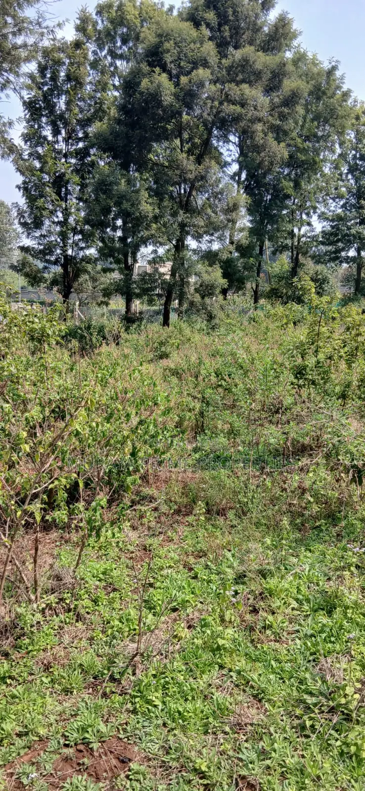 Quarter Acre Prime Plot for Sale – Kerarapon Drive