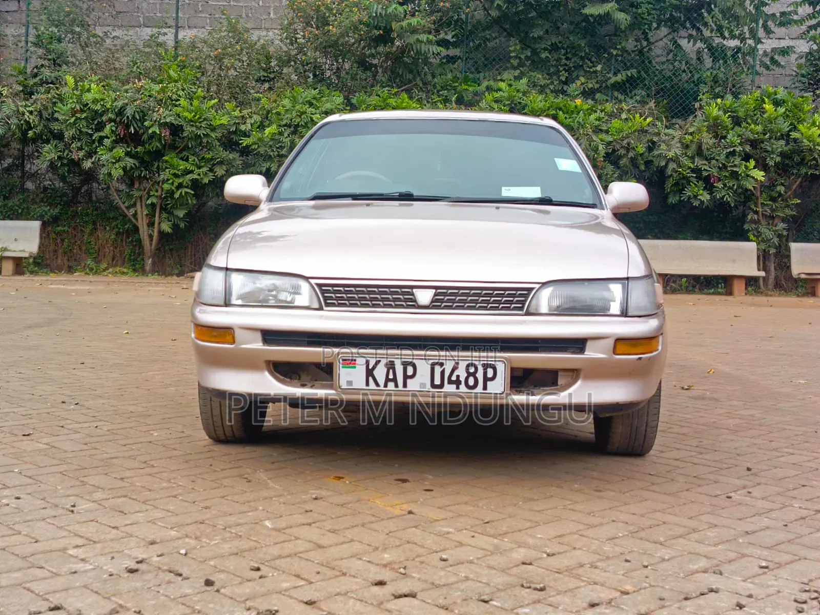Toyota Corolla 1997 Gold