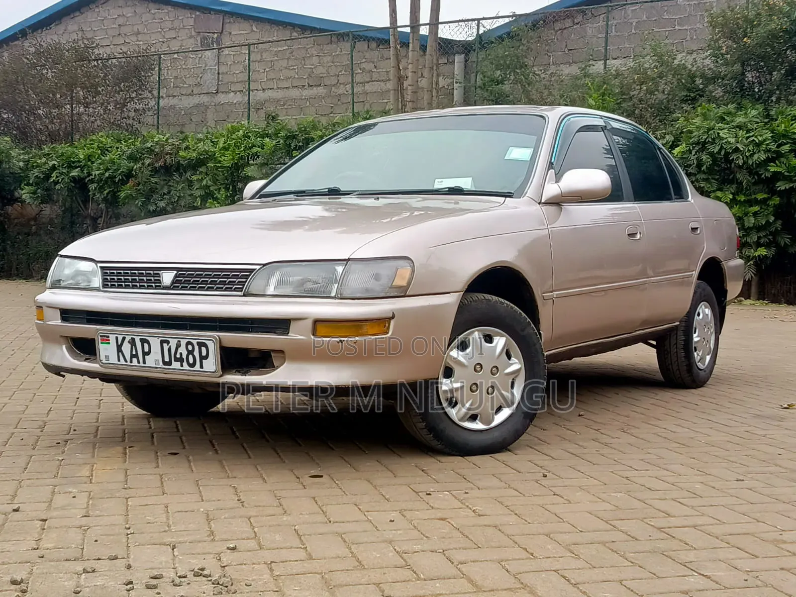 Toyota Corolla 1997 Gold