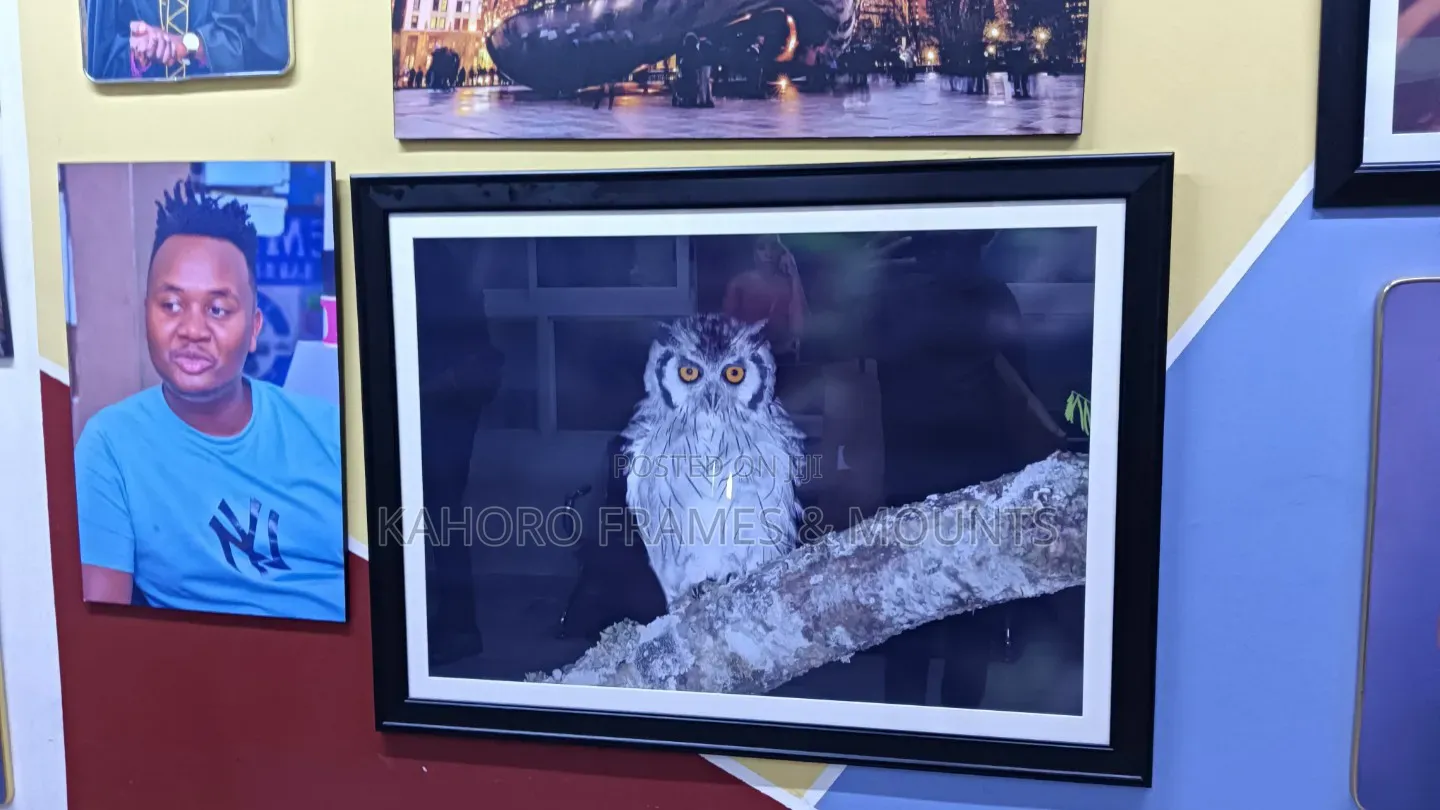 Frames (Normal Sizes and Custom Sizes)