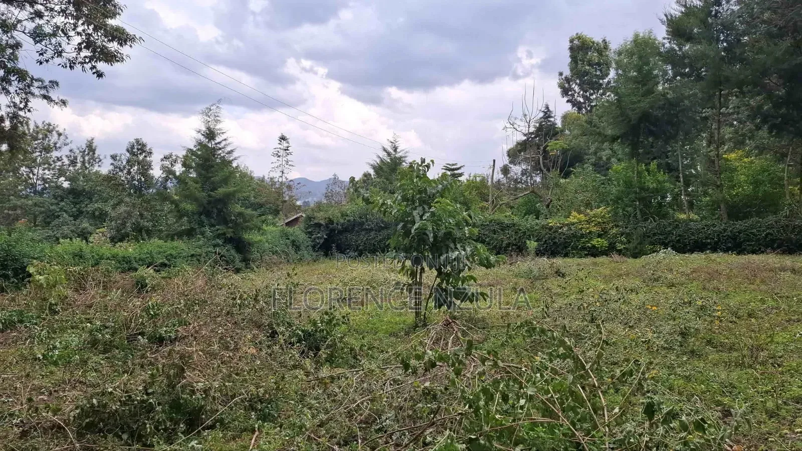Land for Sale in Olkeri Ngong