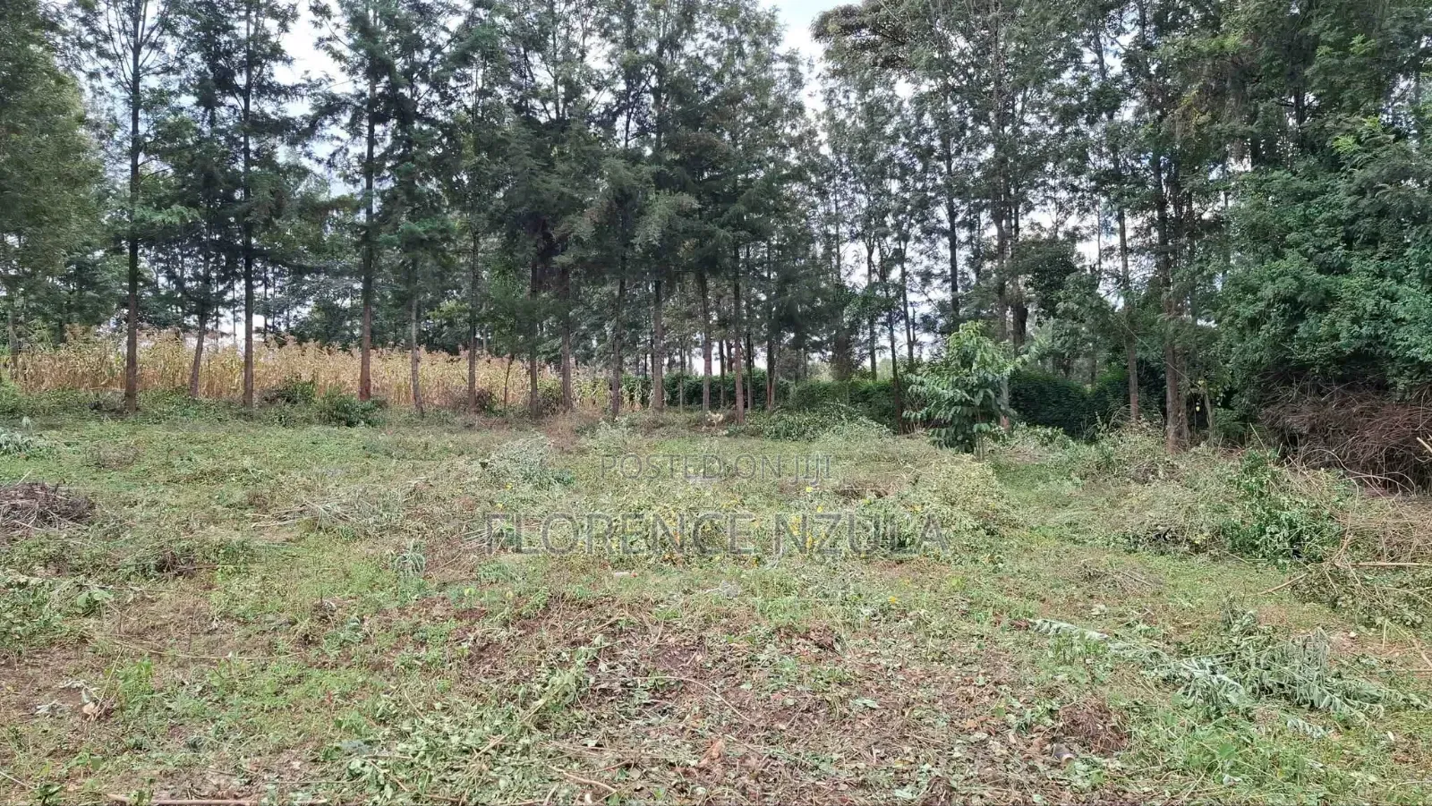Land for Sale in Olkeri Ngong