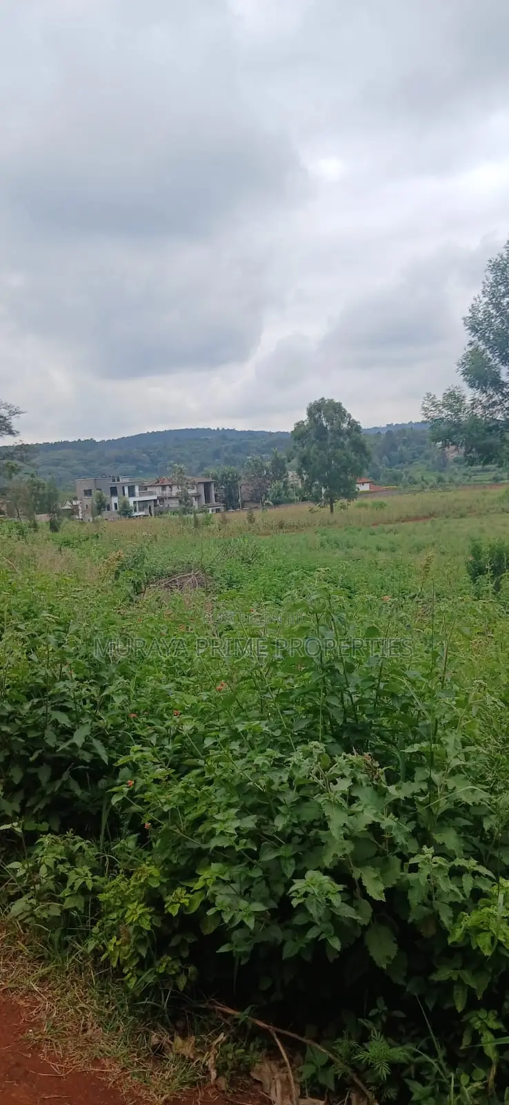 Prime 1/8 Acre Plot for Sale – Kerarapon Drive