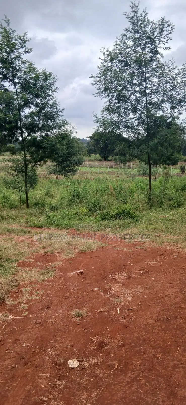 Prime 1/8 Acre Plot for Sale – Kerarapon Drive