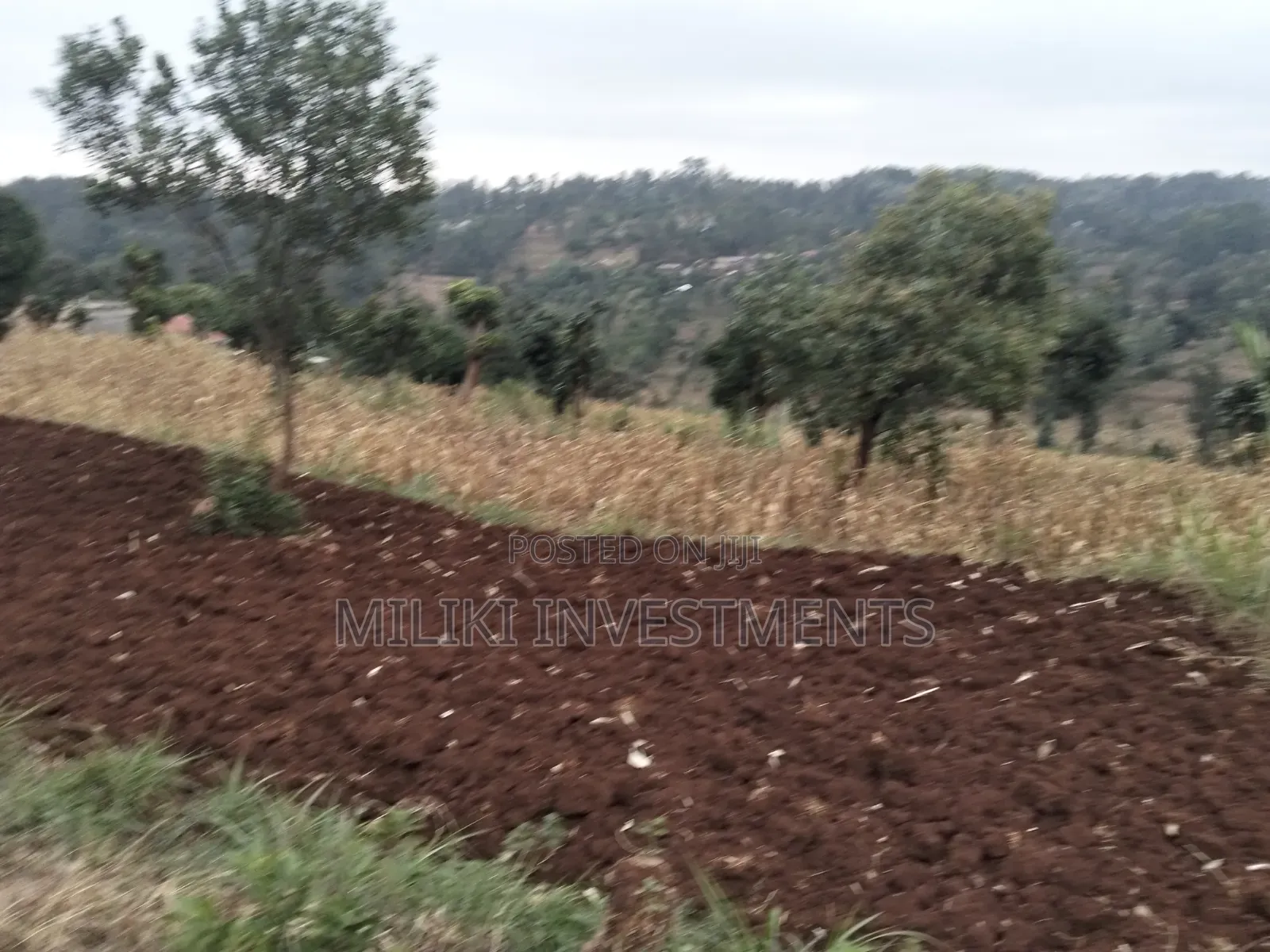 2.5 Acres on Sale at Kenol -Kabati