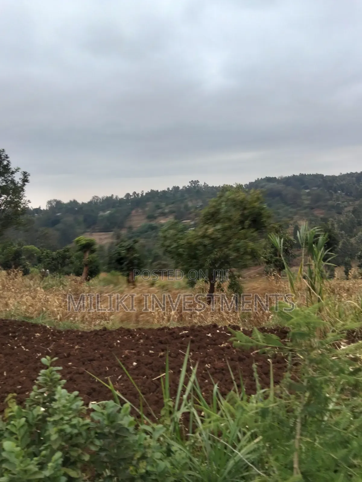 2.5 Acres on Sale at Kenol -Kabati