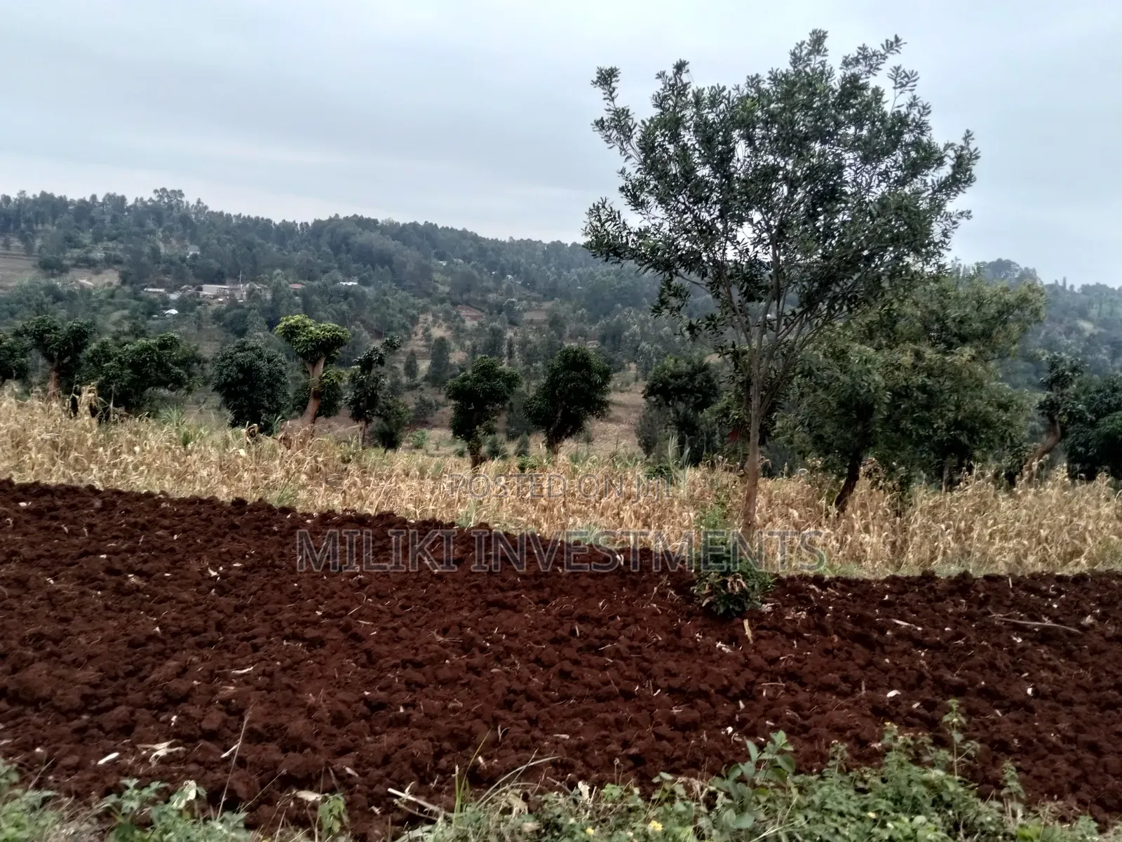 2.5 Acres on Sale at Kenol -Kabati