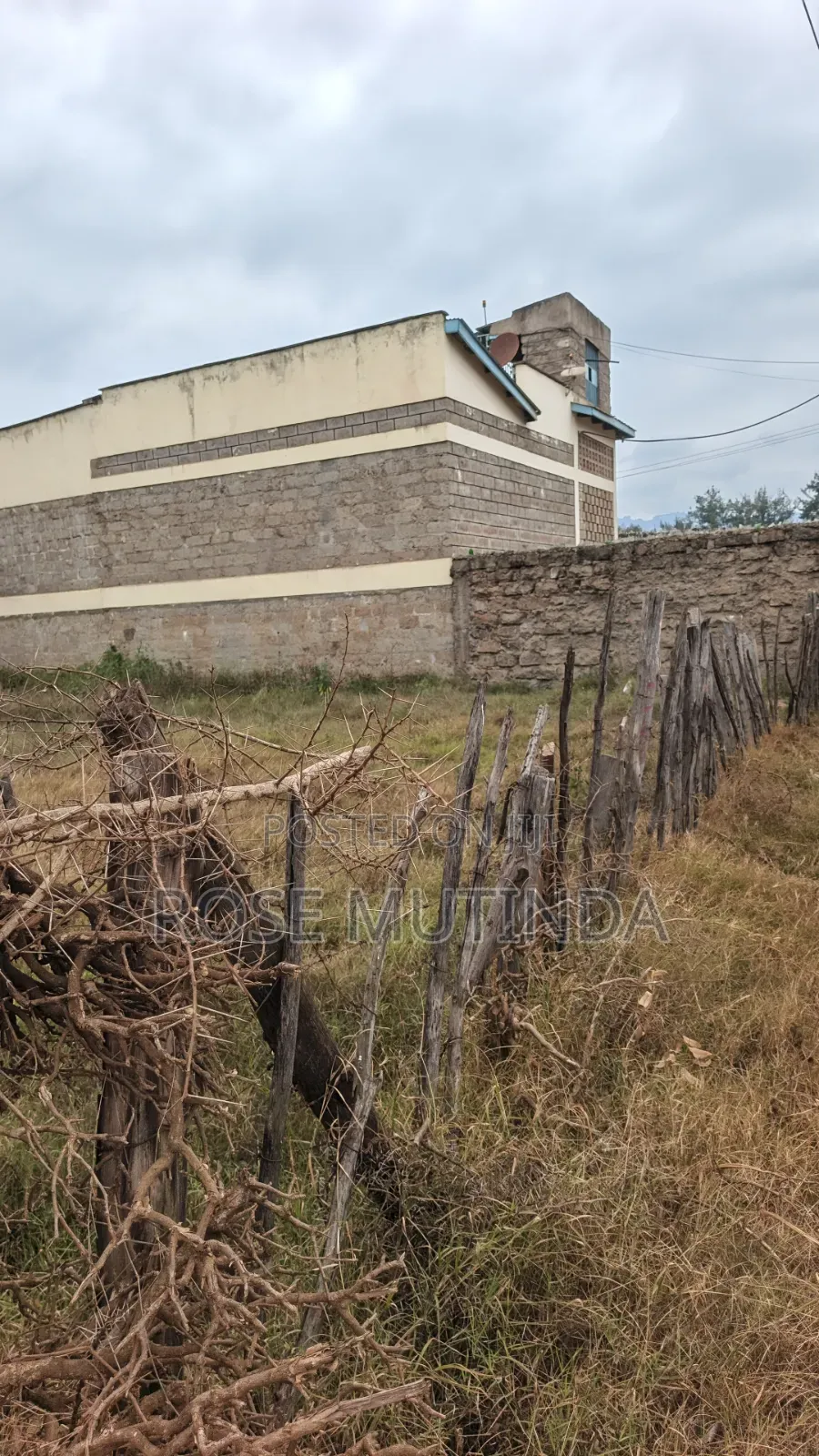 50 by 100 at Kenyaisrael