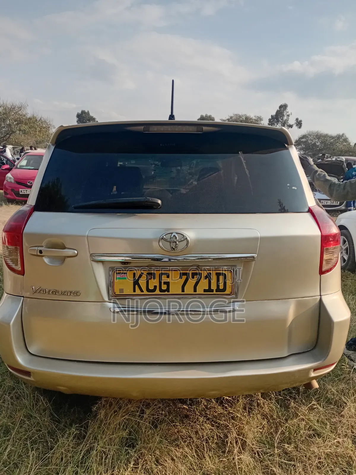 Toyota Vanguard 2009 Beige