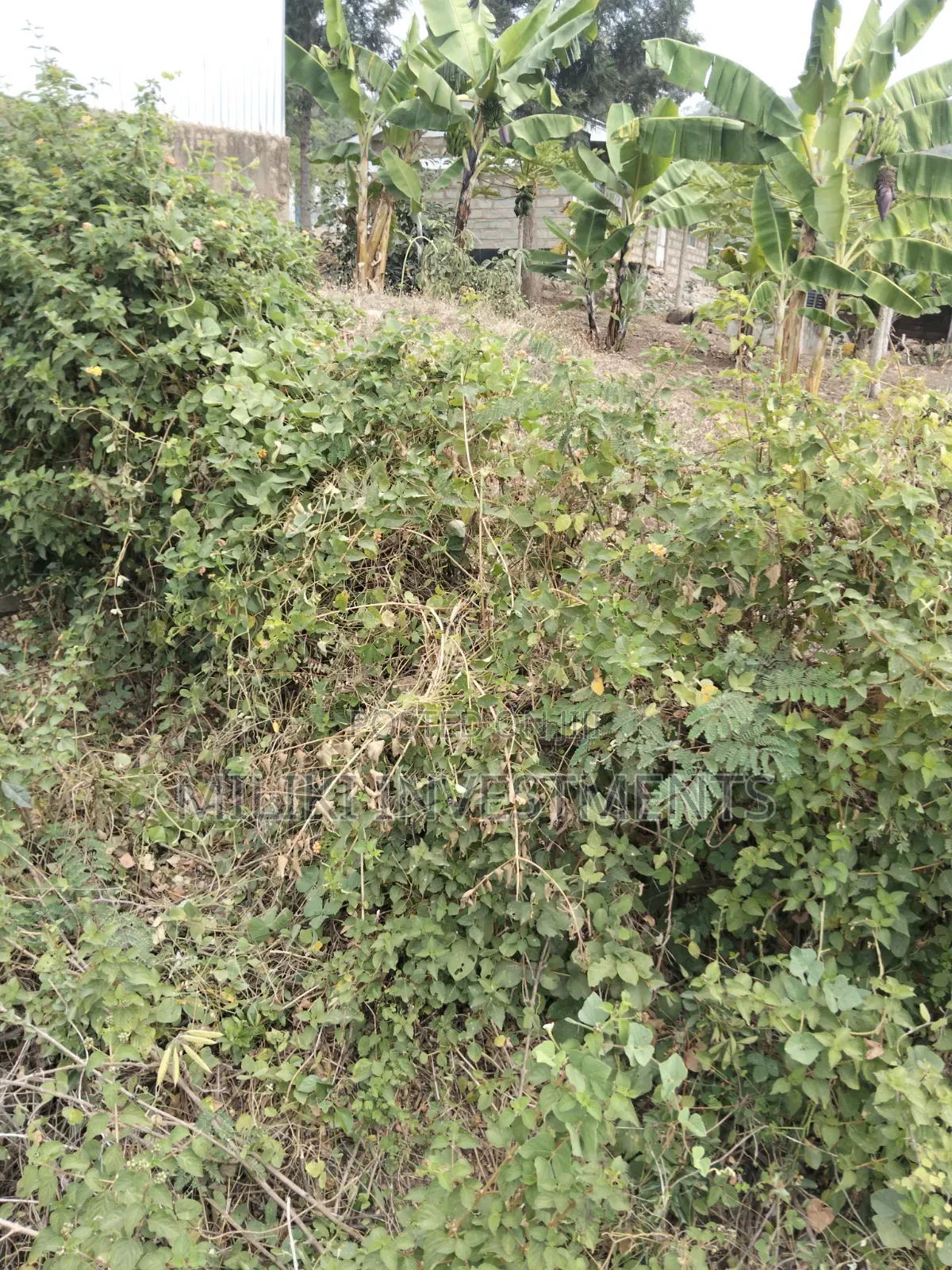 35 Acres of Land on Sale at SabaSaba -Igikiro Area