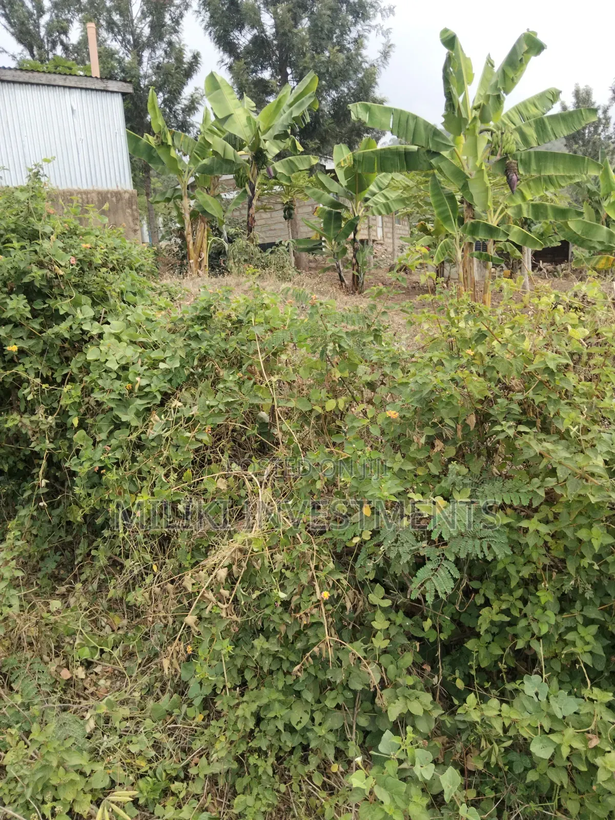 35 Acres of Land on Sale at SabaSaba -Igikiro Area