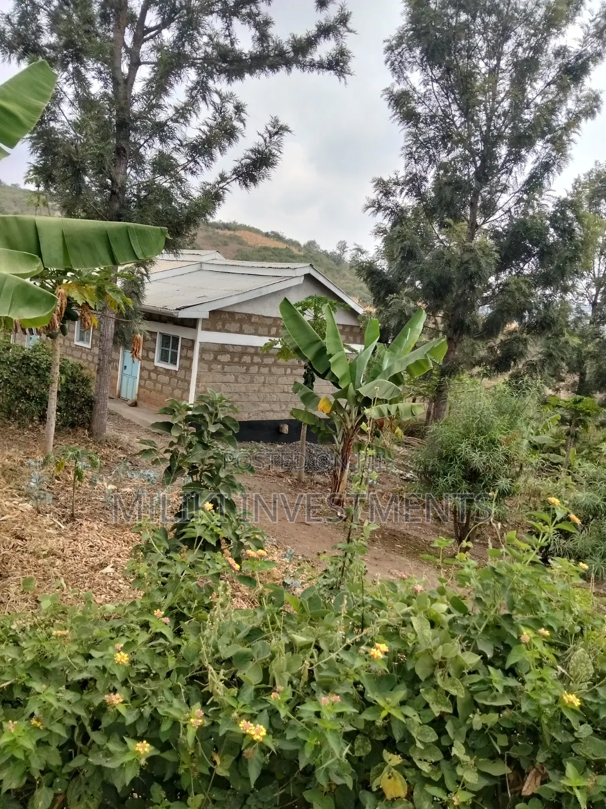 35 Acres of Land on Sale at SabaSaba -Igikiro Area