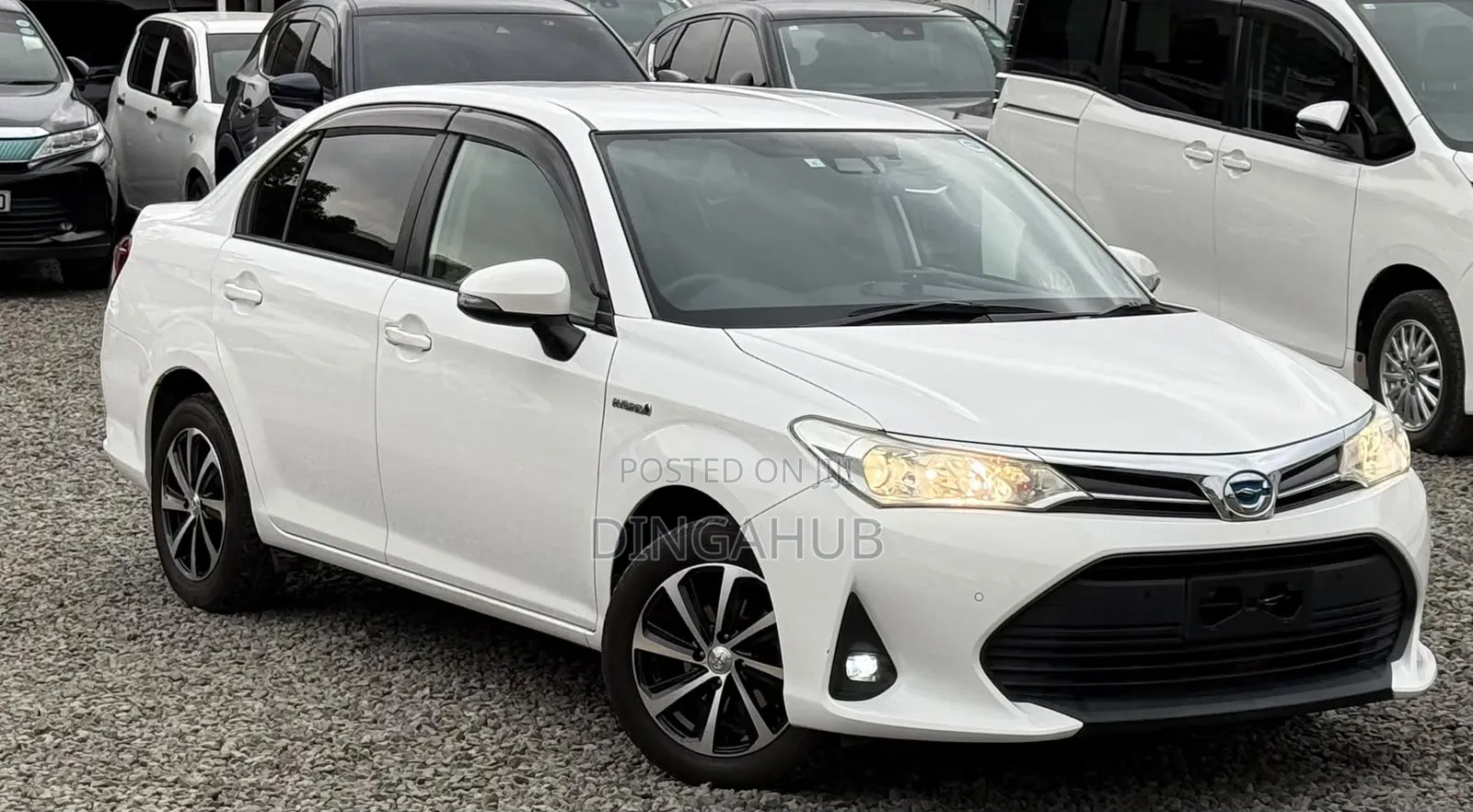 Toyota Axio 1.5 Hybrid 2WD 2019 Pearl