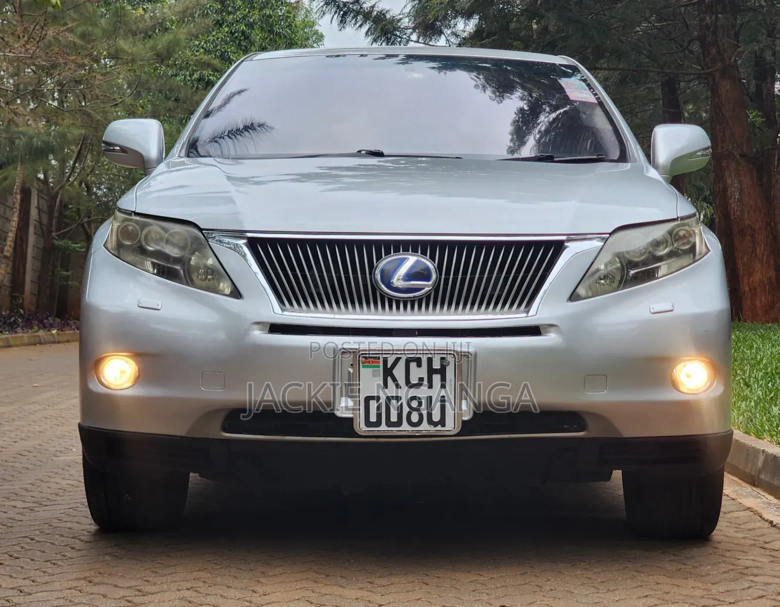 Lexus RX 2010 Silver