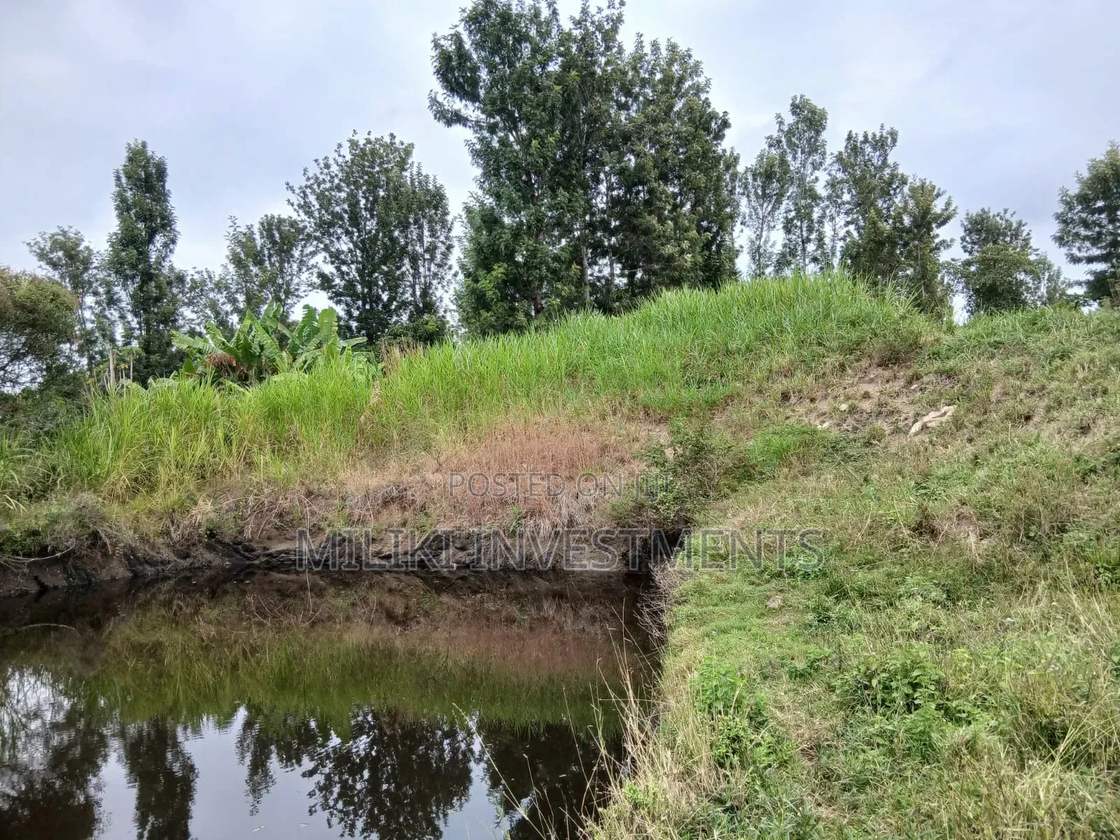 Half an Acre on Sale at Gatanga-Ithanga