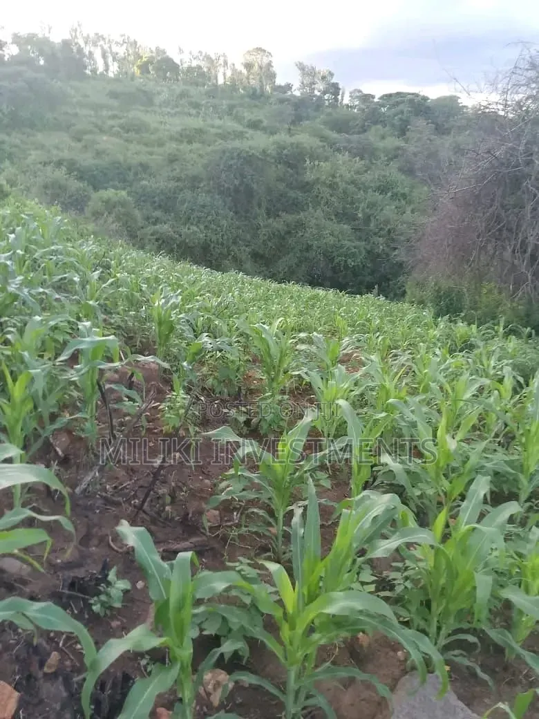 1 Acre on Sale at Gatanga