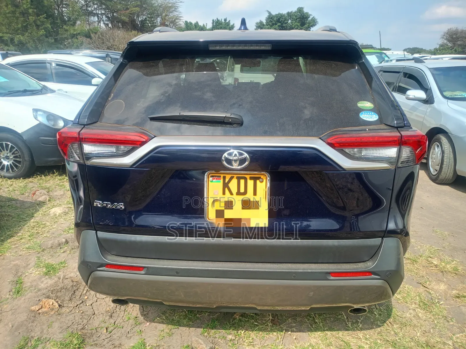Toyota RAV4 2019 Blue