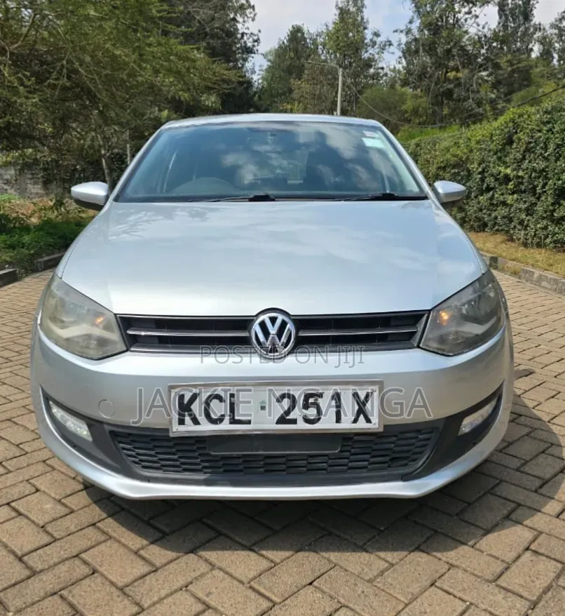 Volkswagen Polo 2011 Silver