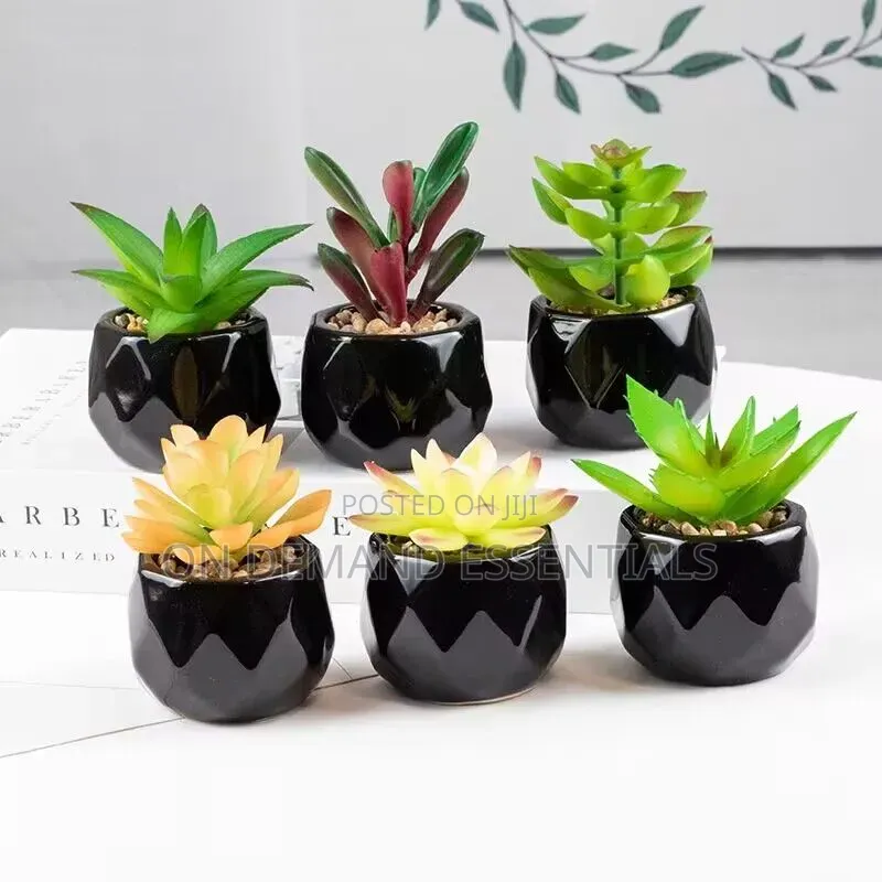 *Artificial Succulent Bonsai Plants With Pottery Pot
