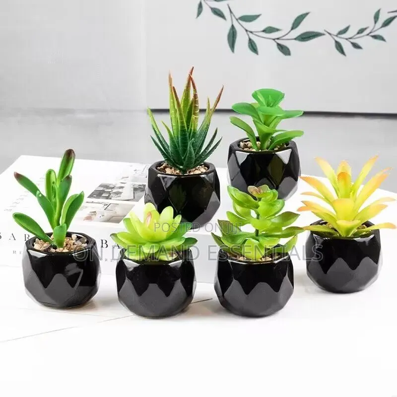 *Artificial Succulent Bonsai Plants With Pottery Pot
