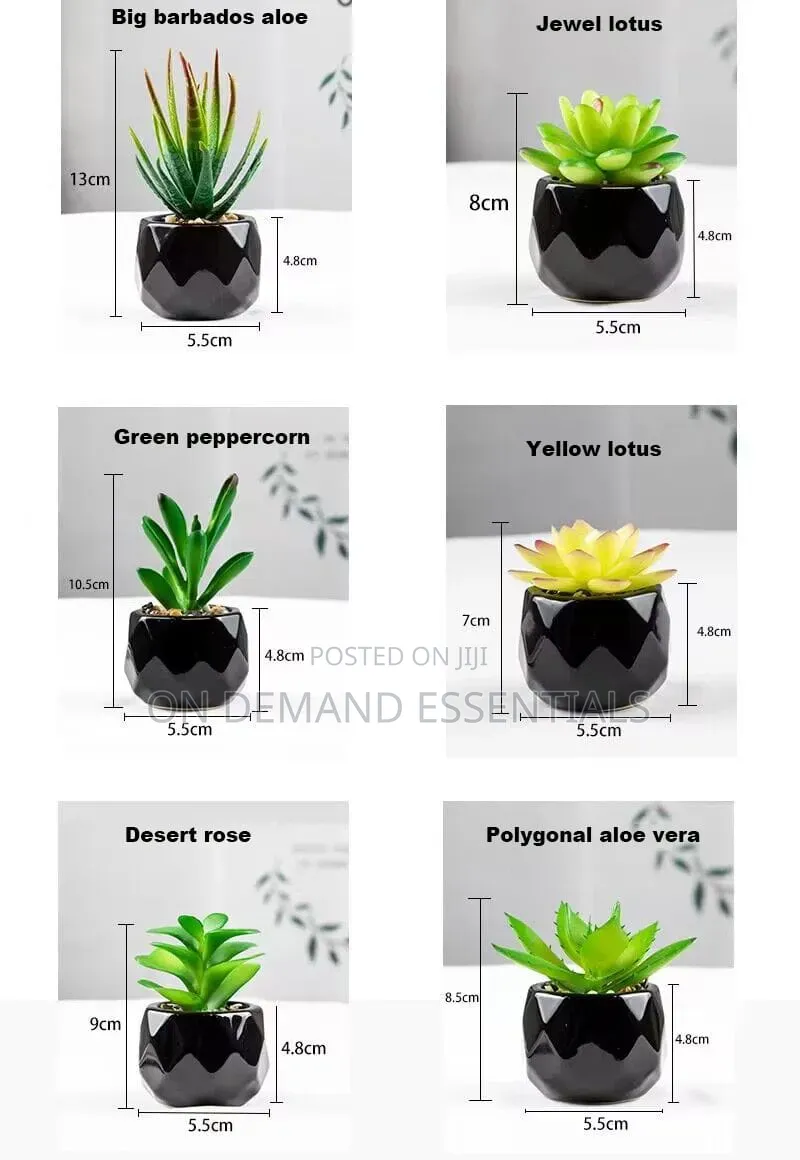 *Artificial Succulent Bonsai Plants With Pottery Pot