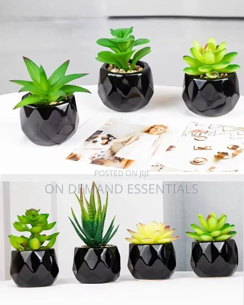 *Artificial Succulent Bonsai Plants With Pottery Pot