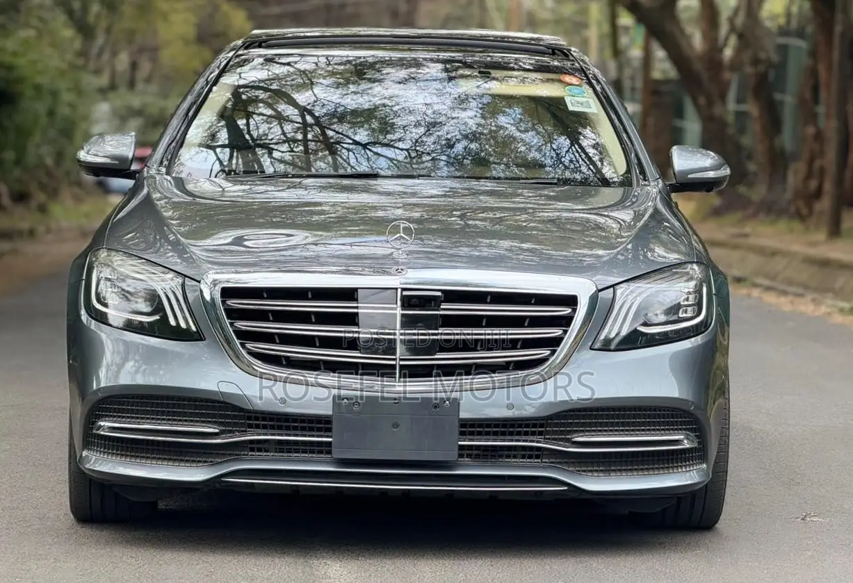 Mercedes-Benz S-Class S 450 4MATIC L (V222) 2018 Gray