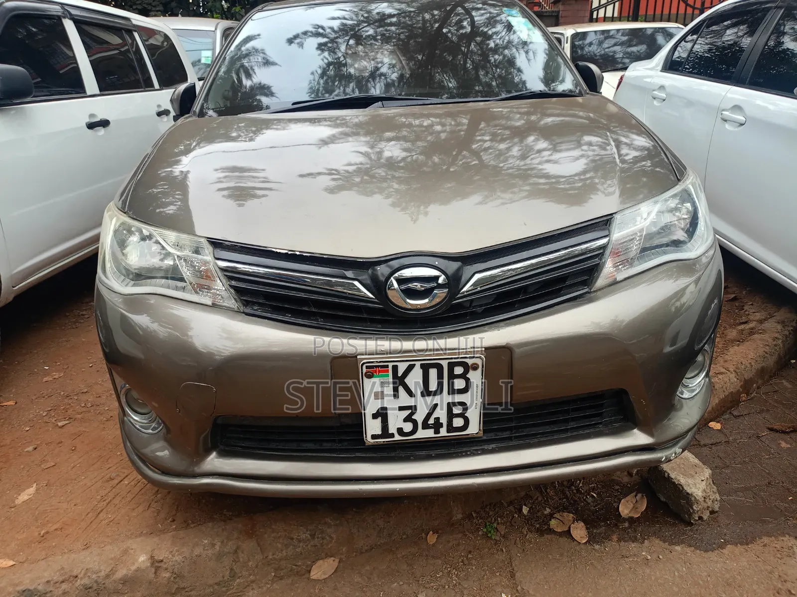 Toyota Corolla Fielder 2013 Brown