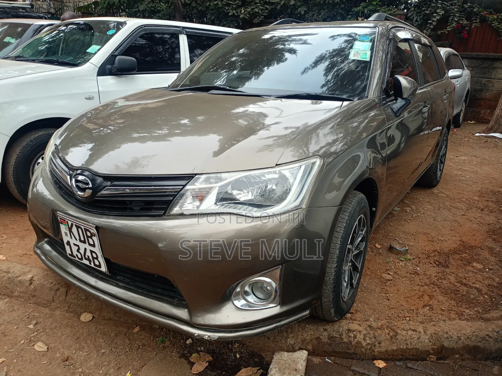 Toyota Corolla Fielder 2013 Brown