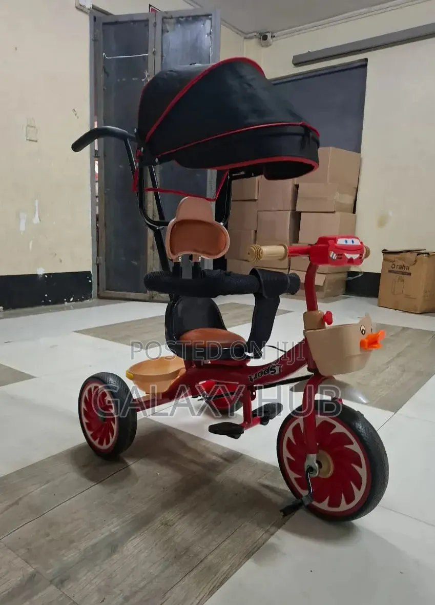 Tricycle With Canopy