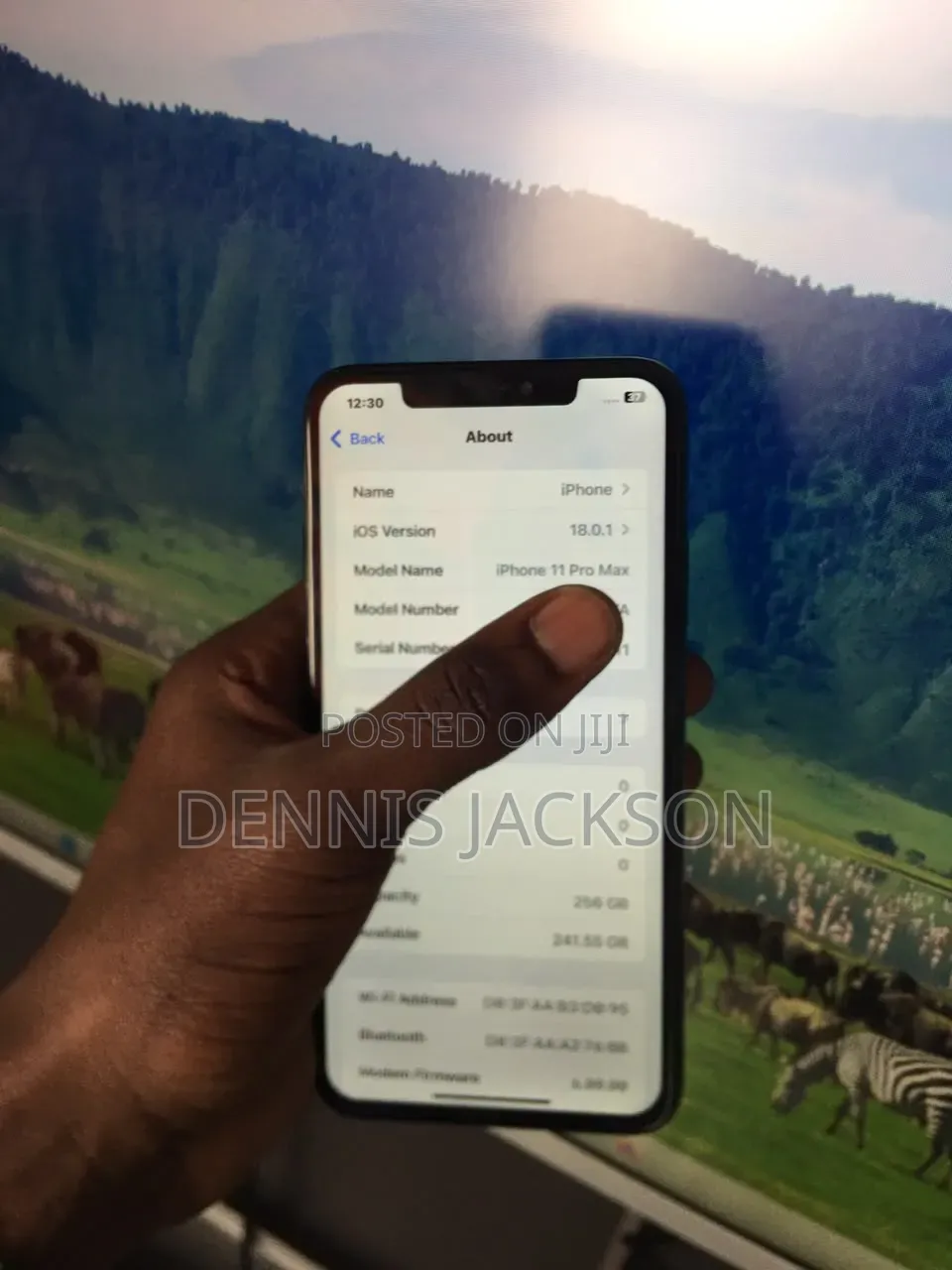 Apple iPhone 11 Pro Max 256 GB Green