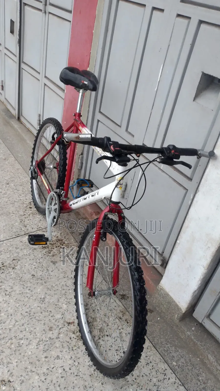 Top Bikes for Quality