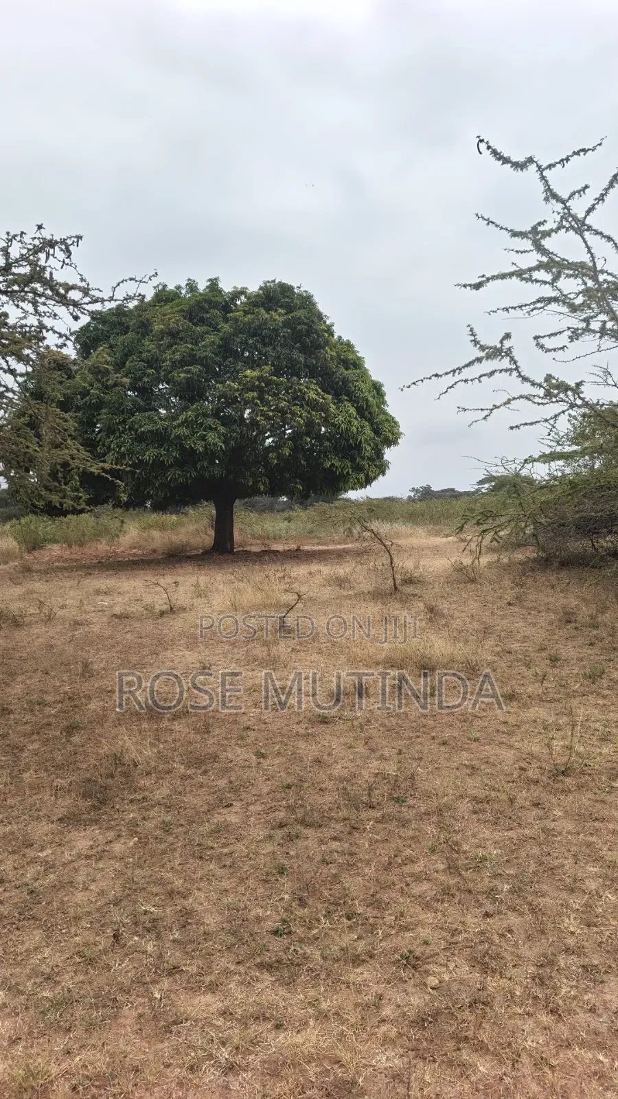 8acres at Nguluni
