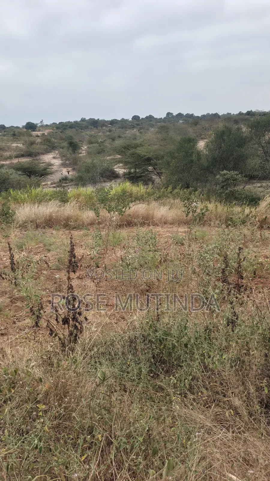 8acres at Nguluni