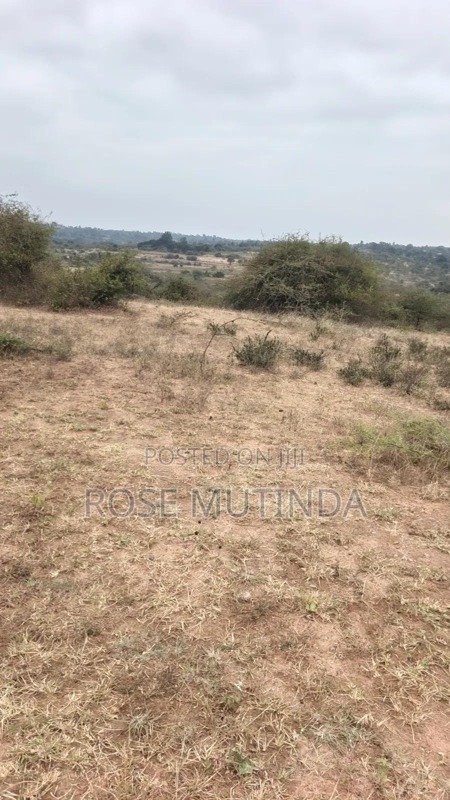 8acres at Nguluni