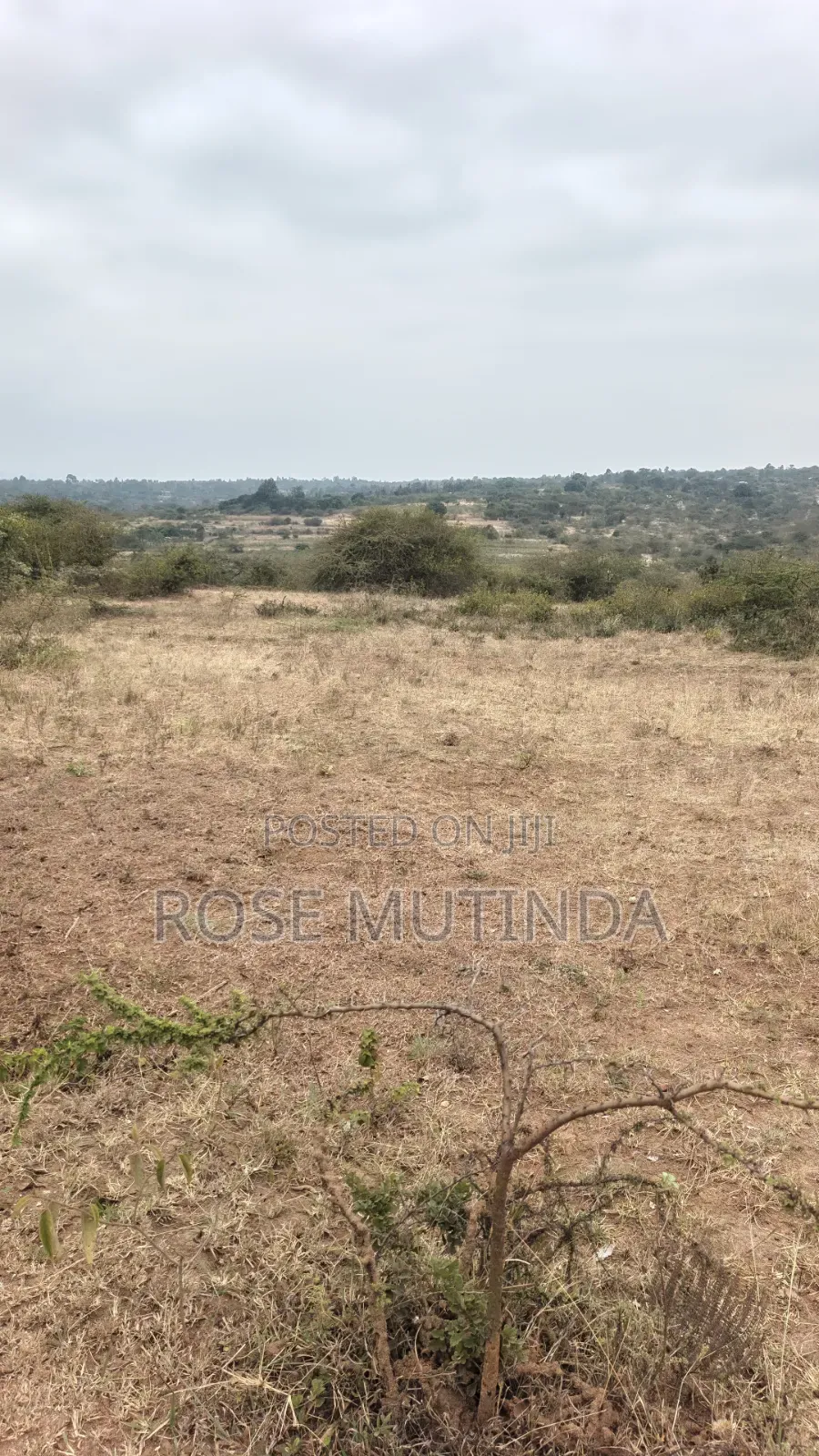 8acres at Nguluni