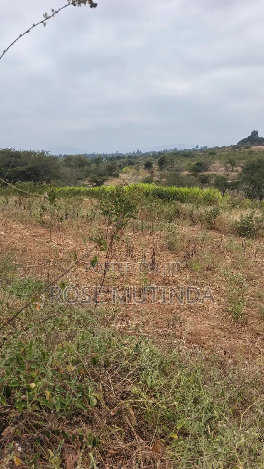 8acres at Nguluni