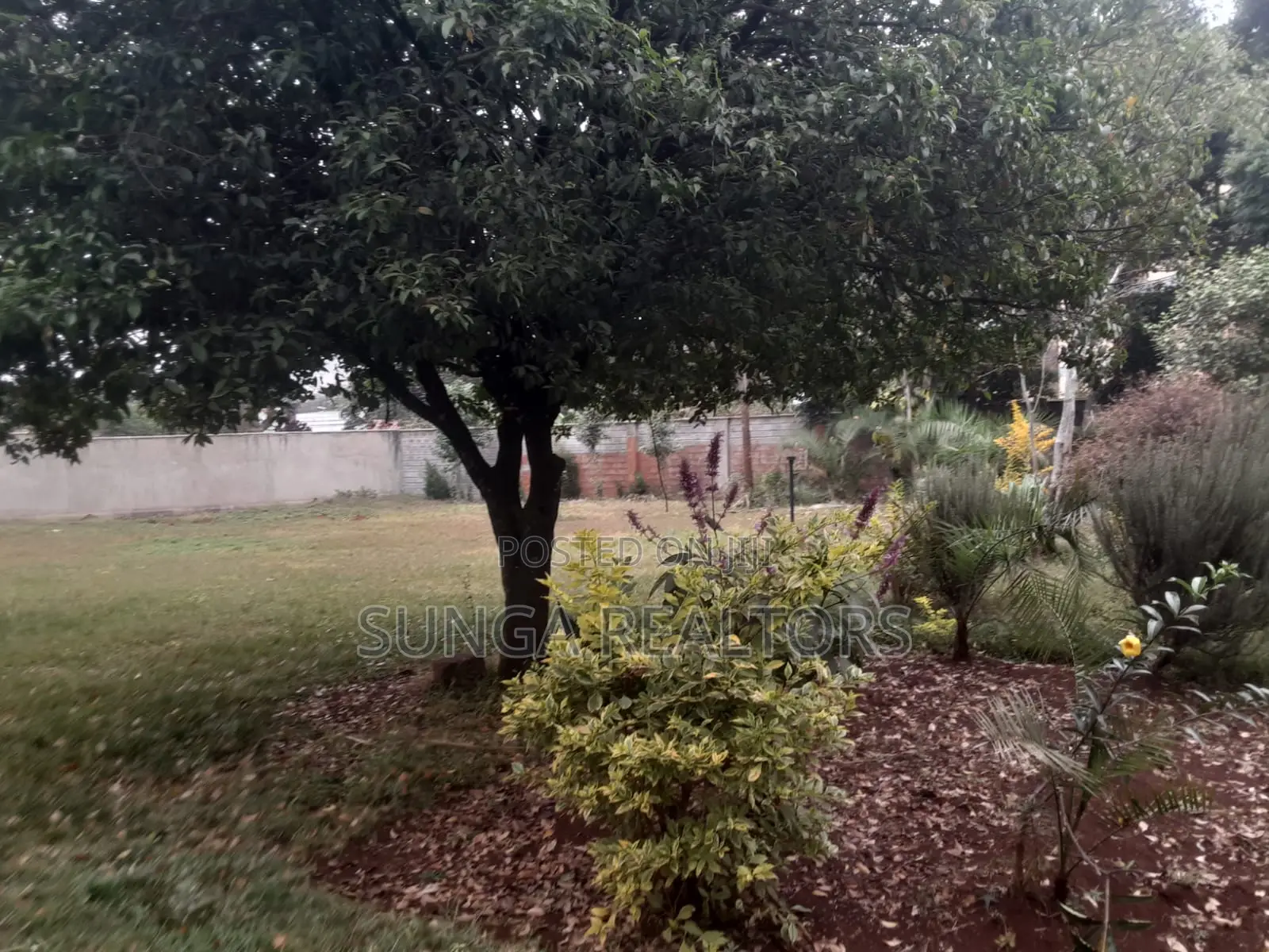 Commercial Property for Rent in Gigiri
