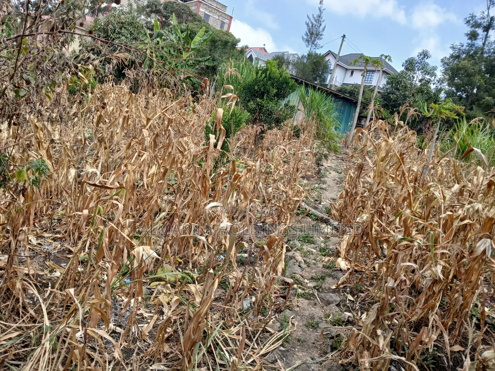 Very Prime Commercial Full 100 by 100 400 Metres Off Magadi Rd Tarmac