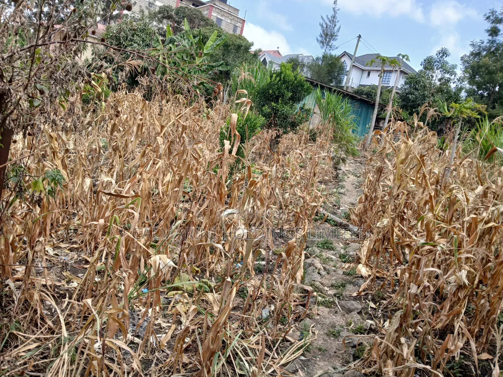 Very Prime Commercial Full 100 by 100 400 Metres Off Magadi Rd Tarmac