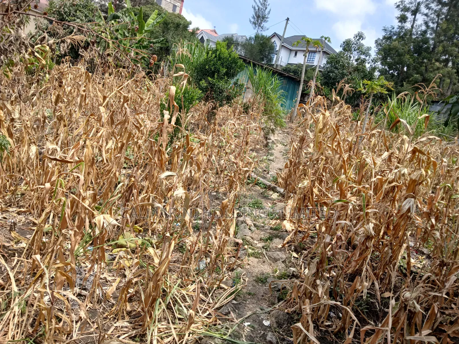 Very Prime Commercial Full 100 by 100 400 Metres Off Magadi Rd Tarmac