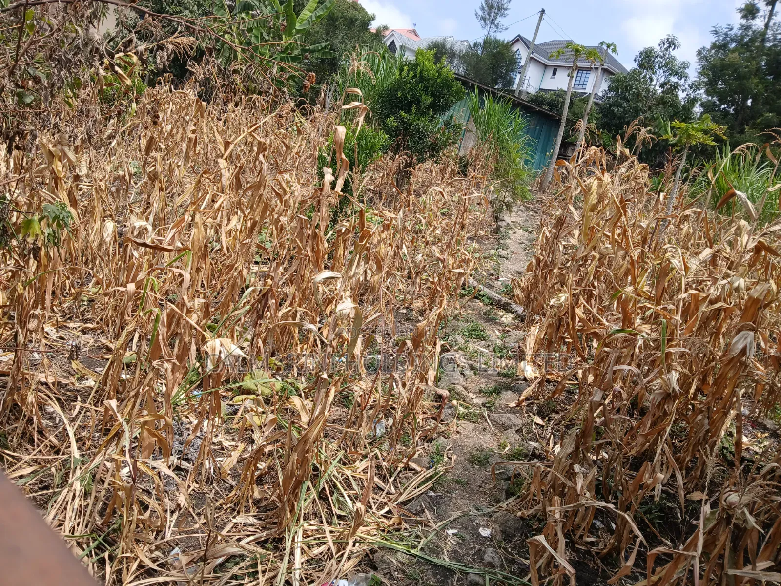 Very Prime Commercial Full 100 by 100 400 Metres Off Magadi Rd Tarmac