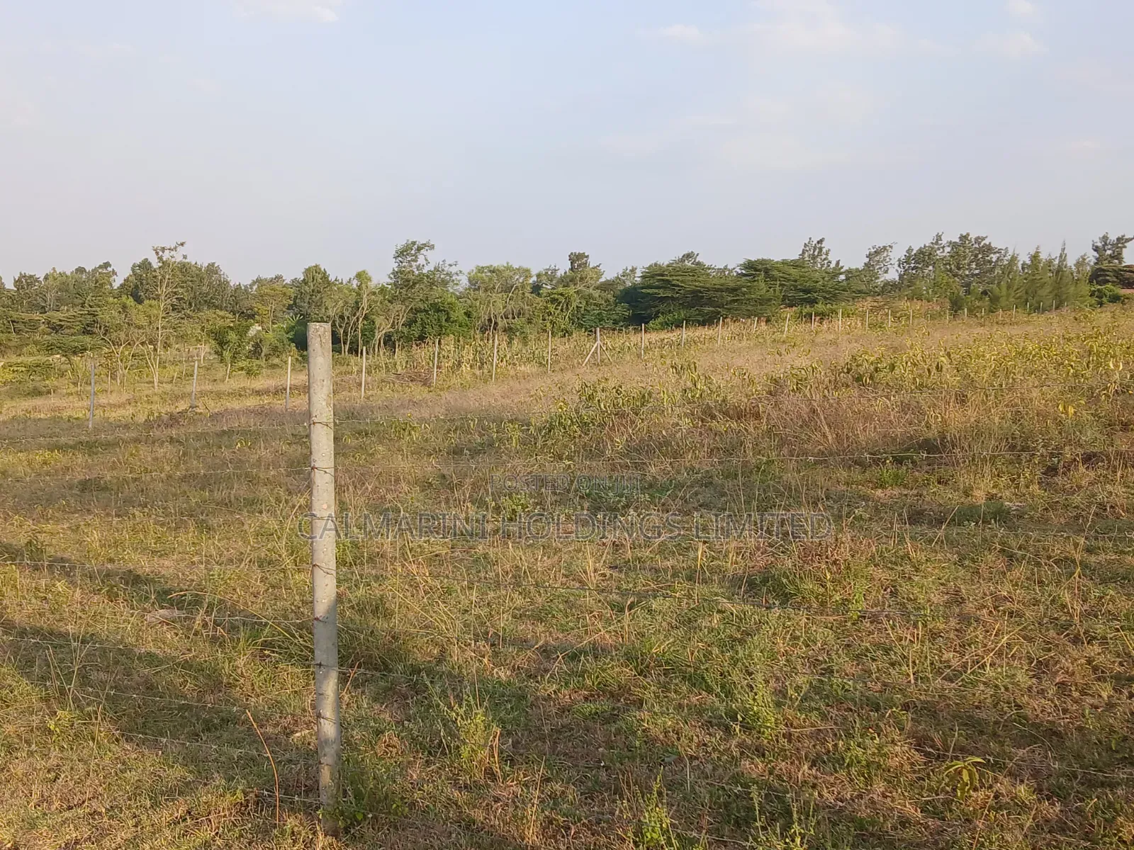 Full Prime Acre of Land for Sale in Oloirien, Ngarusa, Kiserian