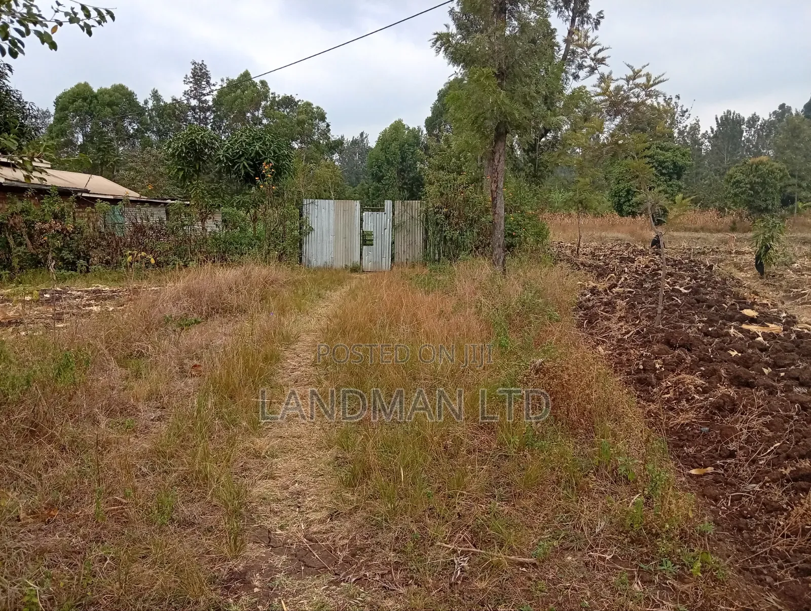 Prime 2 Acres for Sale – Makuyu, Near Makuyu Girls