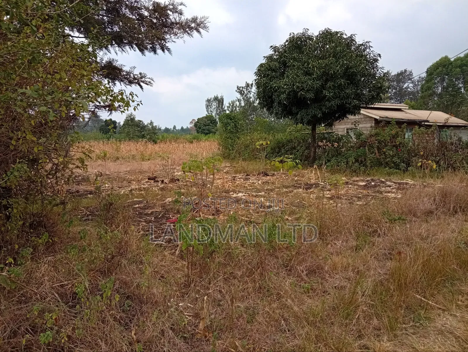 Prime 2 Acres for Sale – Makuyu, Near Makuyu Girls