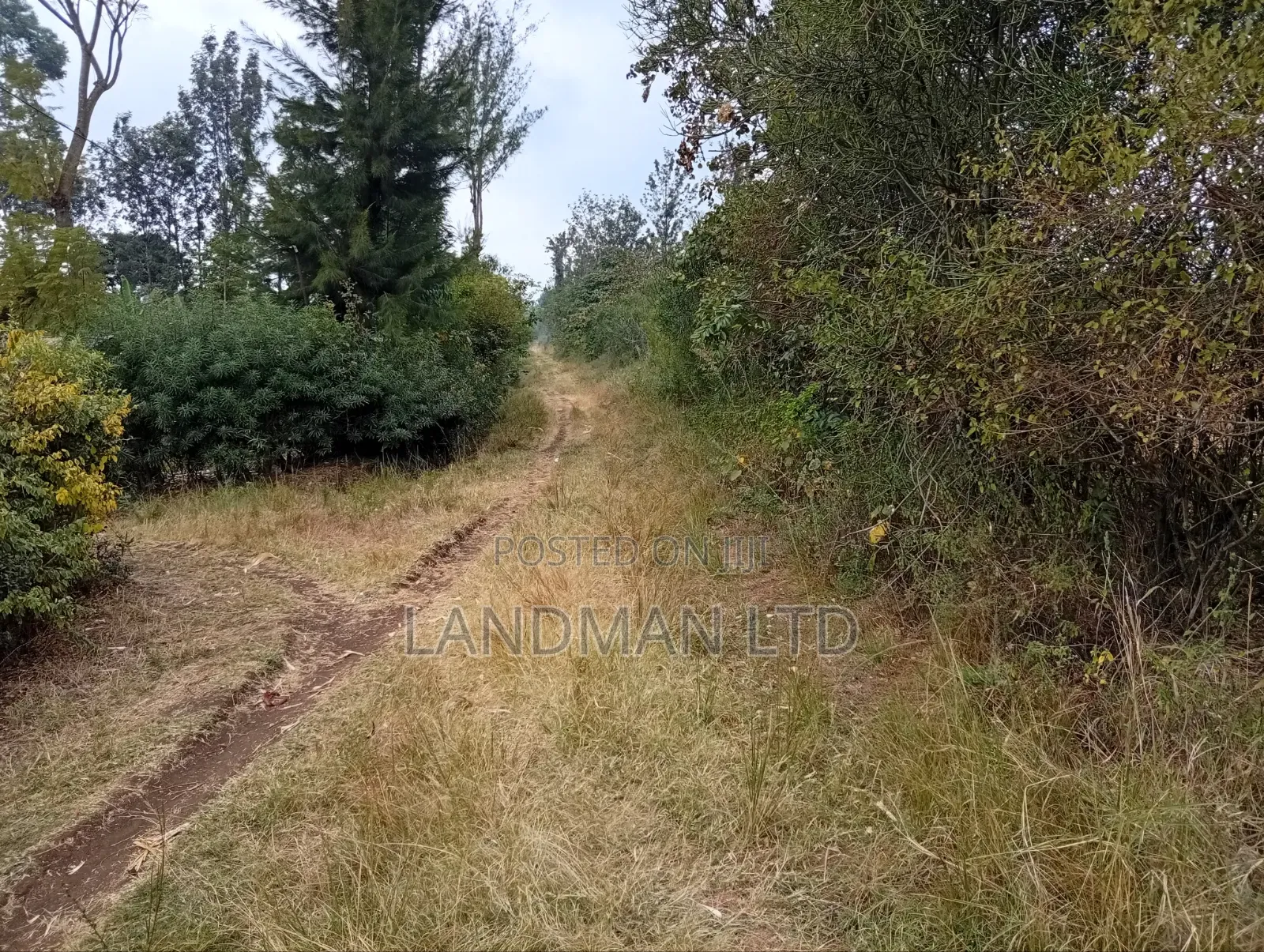 Prime 2 Acres for Sale – Makuyu, Near Makuyu Girls