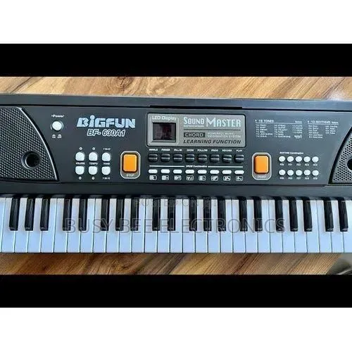 Bigfun 61-Key Electronic Keyboard Piano With LED Display