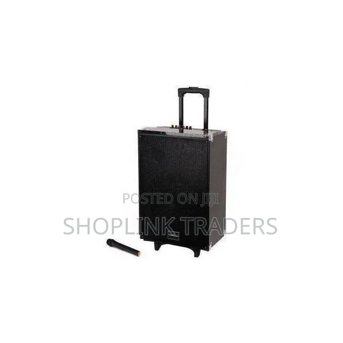 TAGWOOD 15 Inches Outdoor Rechargeable Public Address Speaker