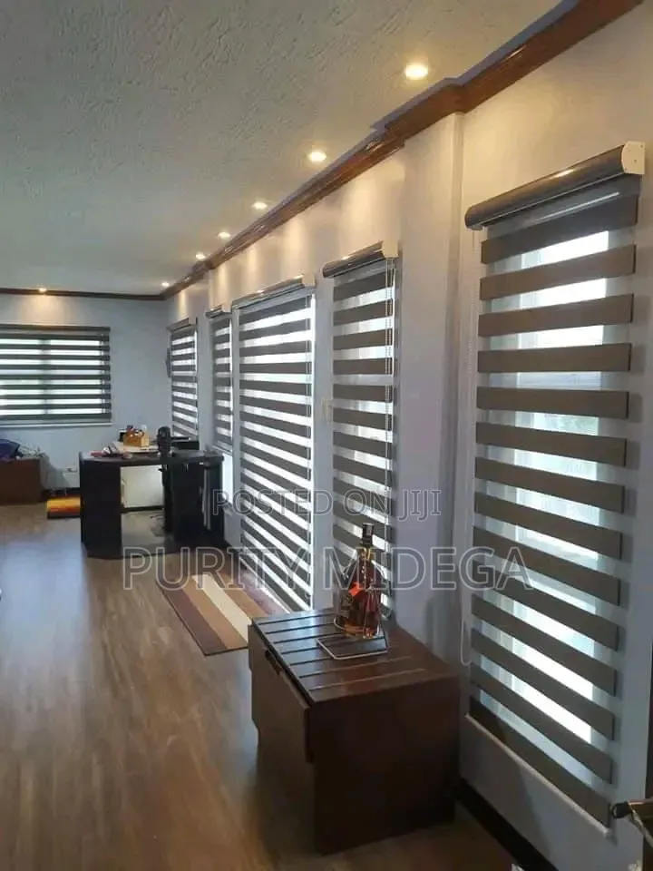Zebra Blinds Horizontal Blinder for Offices