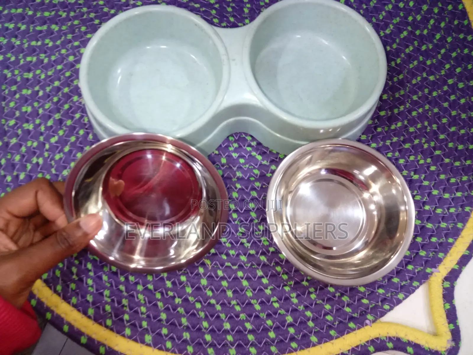 Stainless Colorful Bowl for Cats